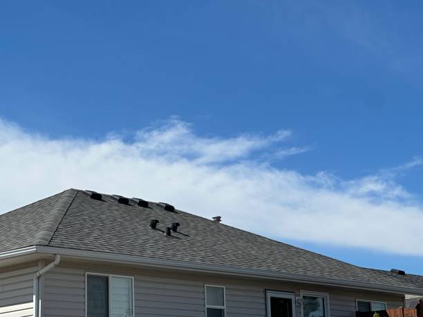 Best Roof Moss and Algae Removal  in South Valley Stream, NY